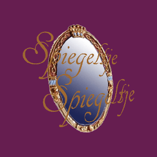 Guido Everts (Historisch pedagoog bij Spiegeltje Spiegeltje)